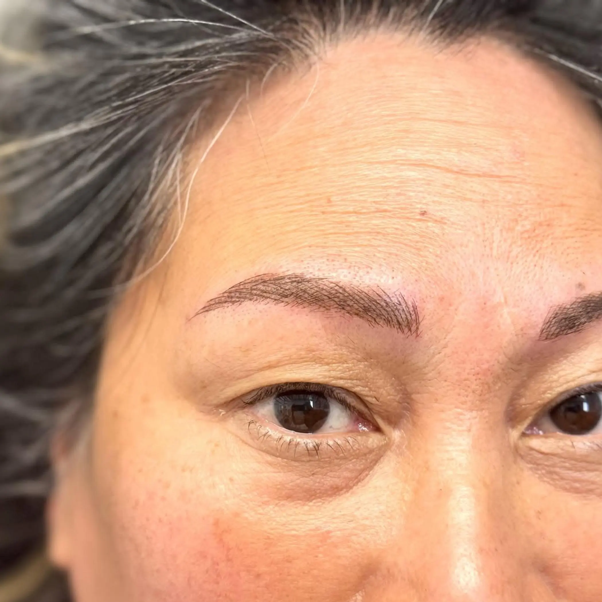 natural looking powder brow results